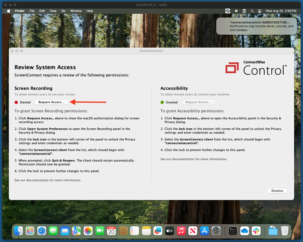 ScreenConnect Review System Access window with the Request Access button highlighted