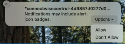 Notifications permission prompt for connectwisecontrol — click Allow